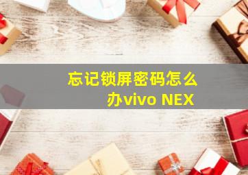 忘记锁屏密码怎么办vivo NEX